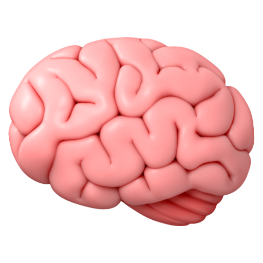 Emoji Não 🧠 dạng 3D