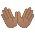 👐🏽
