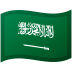 🇸🇦