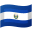 🇸🇻