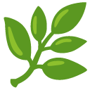 🌿