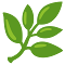 🌿