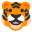 🐯