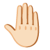 🤚🏻