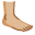 🦶🏼