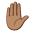 ✋🏽