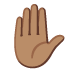 ✋🏽