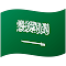 🇸🇦