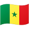 🇸🇳