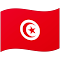 🇹🇳