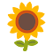 🌻