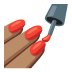 💅🏽