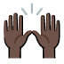 🙌🏿