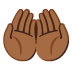 🤲🏾