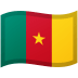 Cameroon emoji on Google