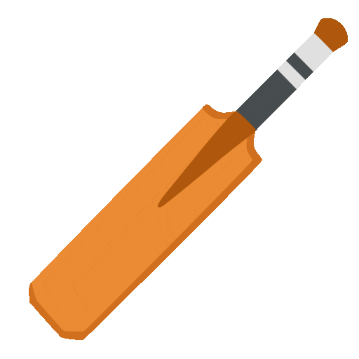cricket game animated