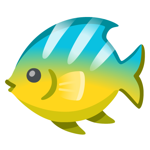 fish