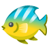 Tropical Fish emoji on Google