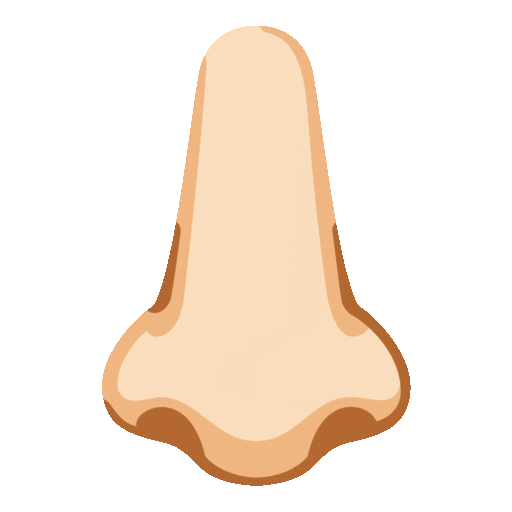 లేత చర్మం ముక్కు Noto Animated emoji