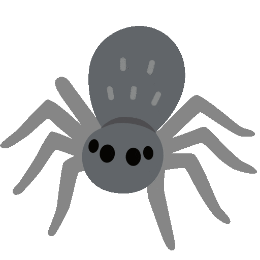 spider animated