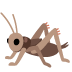 Cricket emoji on Google