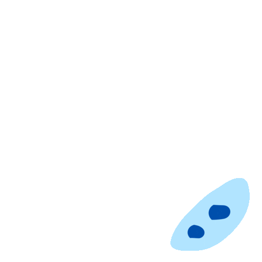 fingerprint animated